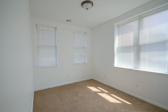 Bedroom with 3 windows and carpeted floors