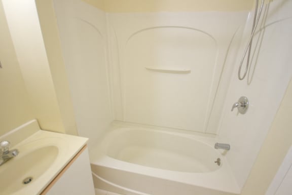 bathroom with white cabinets