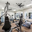 A gym with treadmills, exercise bikes, and weight machines.