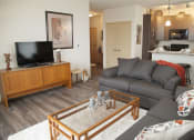 Thumbnail 14 of 17 - view of living room and kitchen area in 1 bedroom apartment