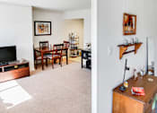 Thumbnail 7 of 10 - The living spaces in all apartment homes offer lots of natural light.