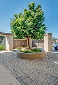 A tree in a concrete planter is the centerpiece of a courtyard.