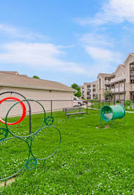 Dog Park with Equipment