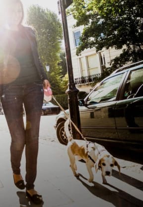a woman walking her dog down a sidewalk