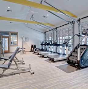 A gym with a variety of equipment including treadmills, weights, and exercise balls.