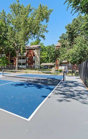 A blue and white tennis court surrounded by trees and a fence.