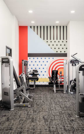 a gym with cardio machines and other exercise equipment in a building
