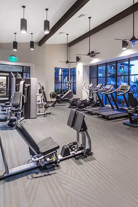 A gym with treadmills, weights, and exercise machines.