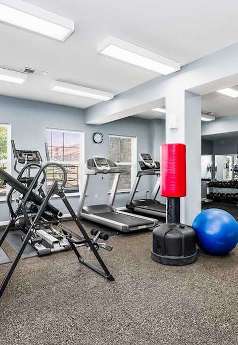 Fitness Center Workout Area
