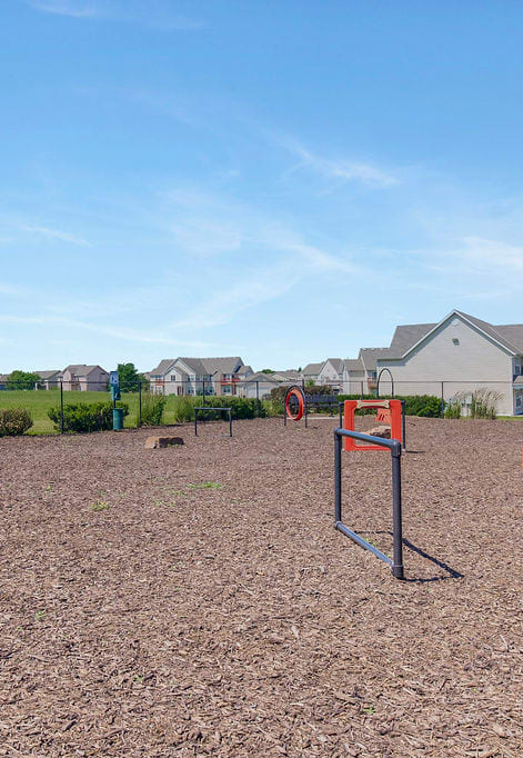 Expansive Dog Park With Obstacle Courses