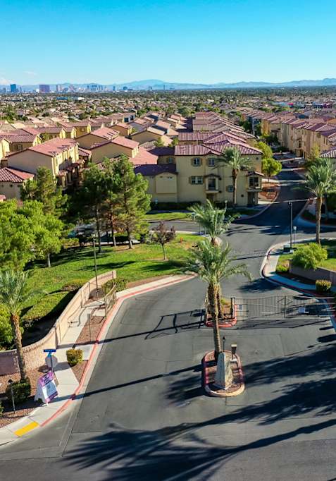 A residential street with houses on both sides and palm trees lining the road.
