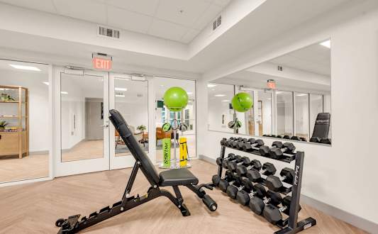 A gym room with a bench, weights, and mirrors.