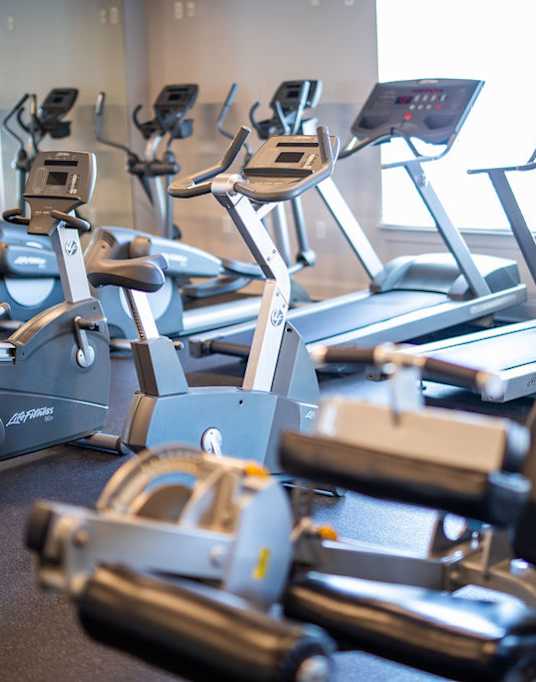 A row of exercise bikes are lined up in a gym.