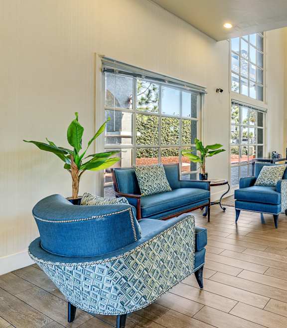 a living room with blue chairs and a large window