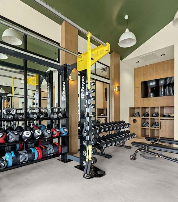 The Wrenley Apartments in Charlotte, NC Fitness Center with Free Weights