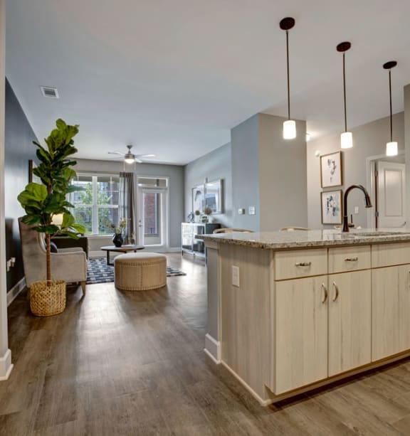 Apartments near Northlake Mall Apartments Eleven240