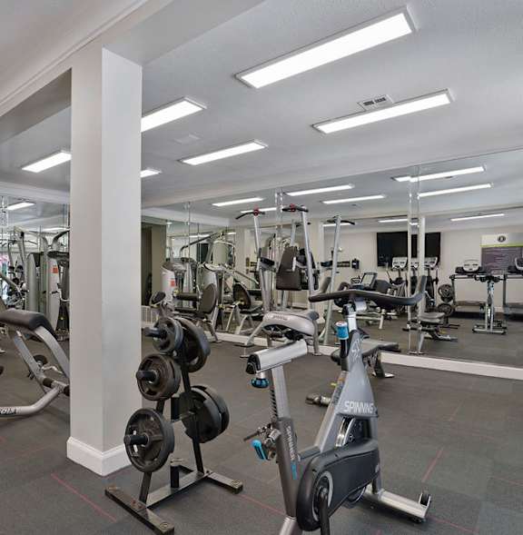 A gym with a variety of equipment including weights and cardio machines.
