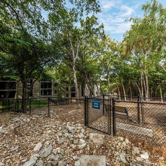 dog park at Hillside Creek in Austin, TX