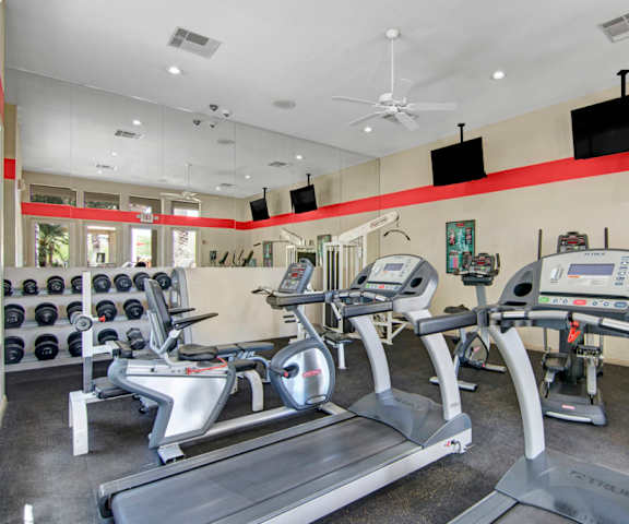 A gym with cardio machines, windows, TVs, and weights at Mirador Apartments. 