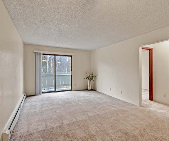 A large empty living room with carpeting, a plant in the corner, and a door to the balcony at Park Plaza Apartments. 