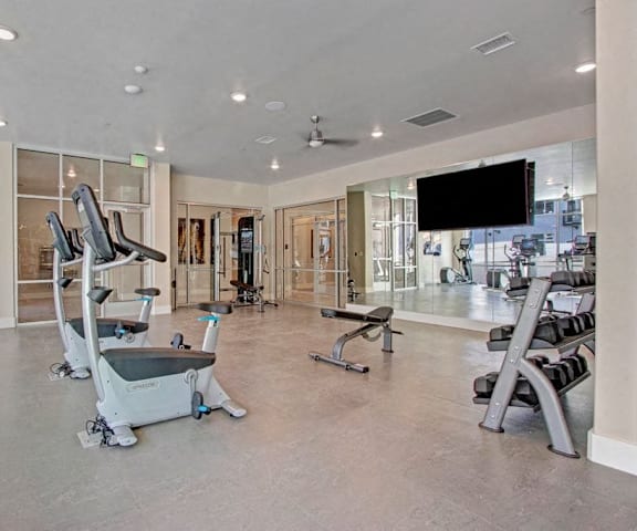 A spacious gym with cardio machines, mirrors, windows, TVs, and weights at the Ritz Classic Apartment Homes. 