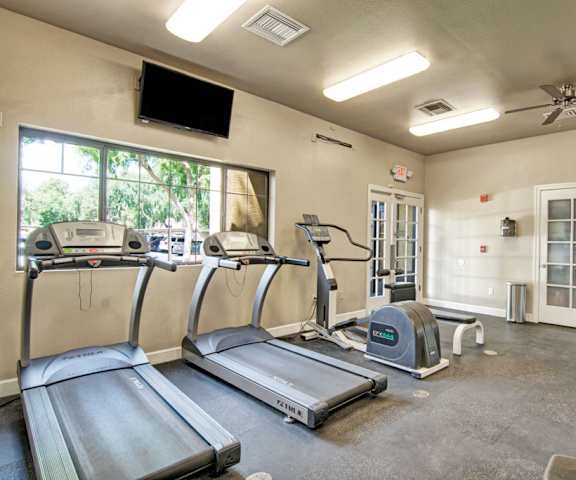 A gym with cardio machines, windows, TVs, and weights at Paradise Falls Apartments. 