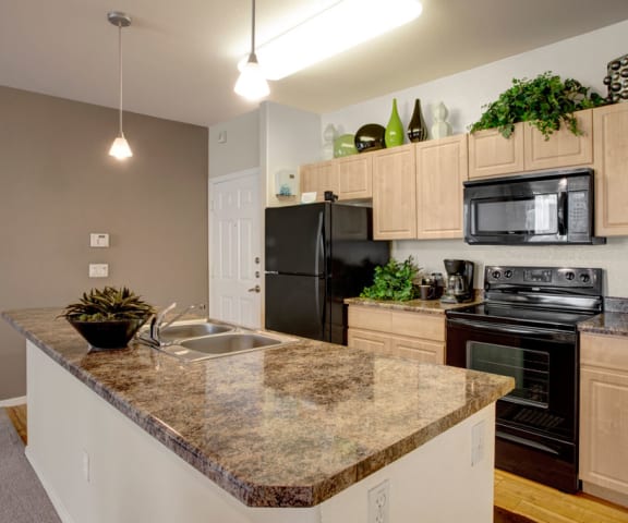 a kitchen with a granite counter top and black appliances