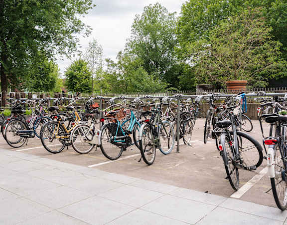 A large number of bicycles are parked in a lot.