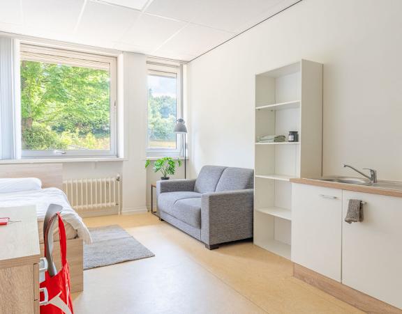 a bedroom with a bed and a desk and a window