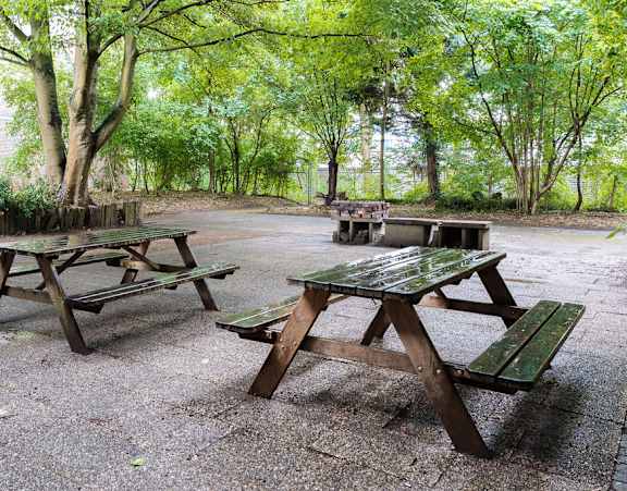 Picnic tables and benches are set up in a green park.
