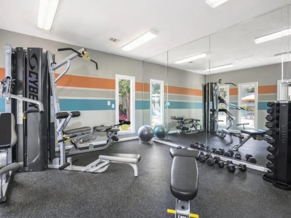 a large fitness room with cardio equipment and large windows