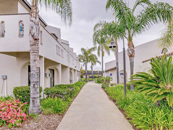 A row of white buildings with palm trees in front.