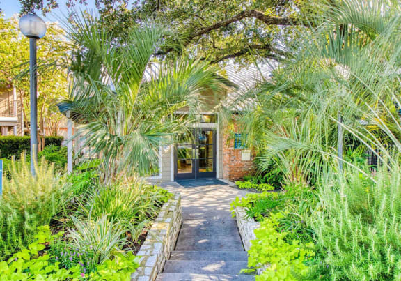 the home has a garden with palm trees and a pathway