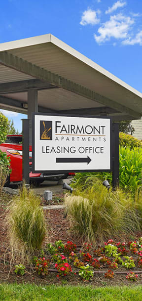 large palm tree in front of leasing center, Fairmont Apartments, Pacifica, California, 94044