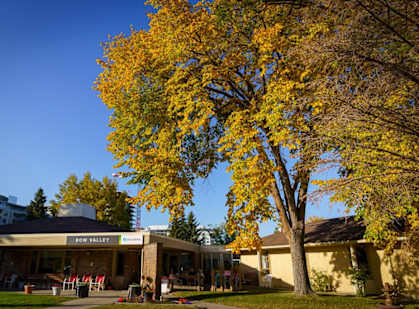 a tree with yellow leaves in front of a building