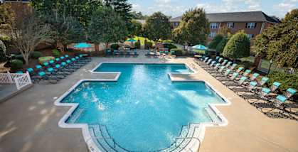 A large outdoor swimming pool surrounded by lounge chairs and trees.
