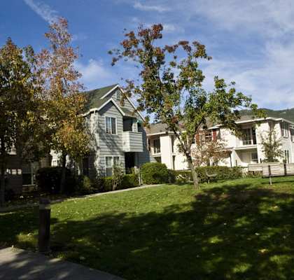 a row of houses on a hill with trees in the grass