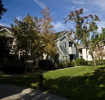 A row of houses with green lawns and trees in front.