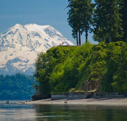 A mountain with a snow cap is in the background of a lake with a beach and trees.