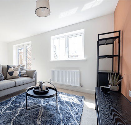 A living room with a grey couch and a blue rug.