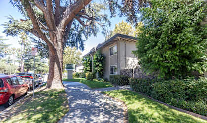 a house with a sidewalk and trees in front of it