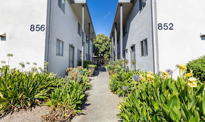 a row of apartment buildings with plants in front of them