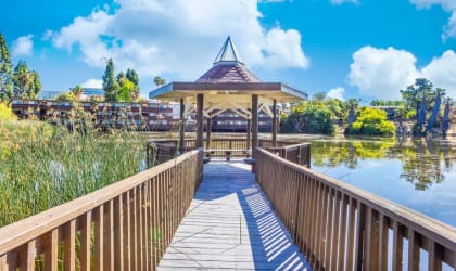 a wooden bridge leading to a gazebo on the water
