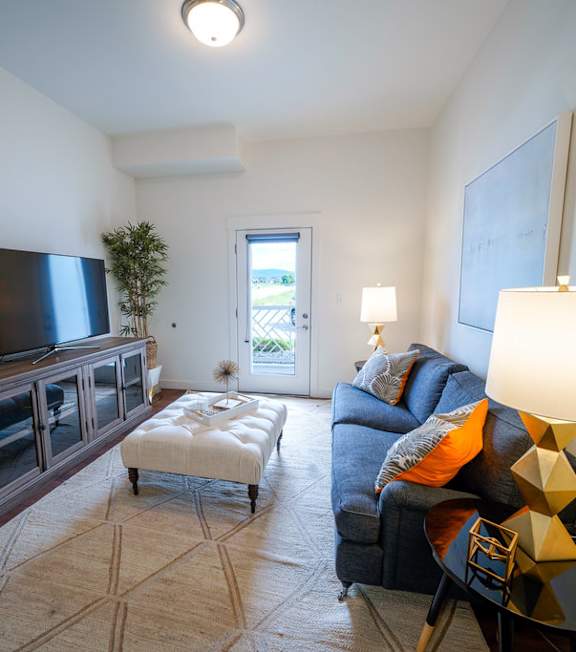 A living room with a television, a couch, and a rug.