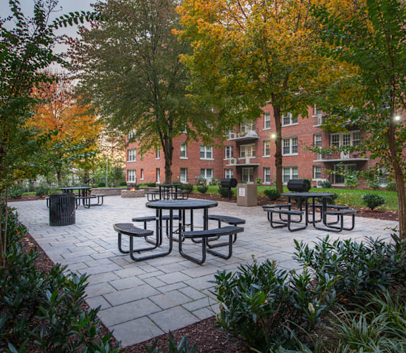 The Metropolitan Apartments Picnic Area