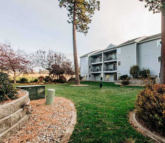 our apartments are located in a quiet area with grass and trees
