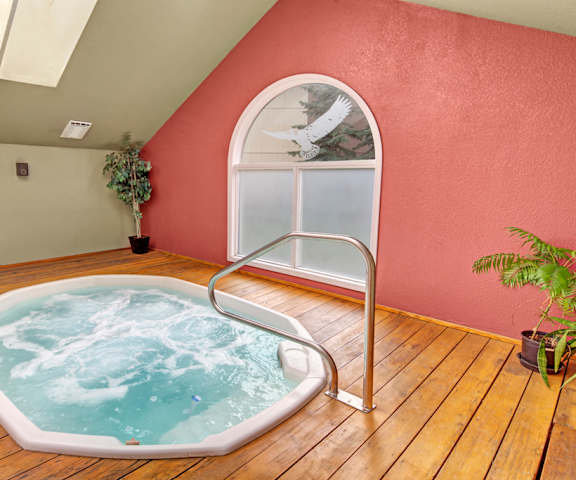 The indoor jacuzzi room with wood flooring, windows, two plants, and a jacuzzi at the Club at Eagle Point Apartment Homes. 