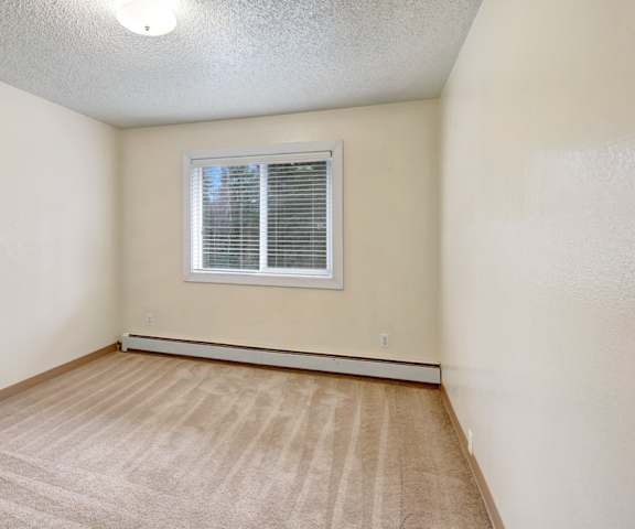 An empty carpeted bedroom with a window at Quiet Creek Apartments. 