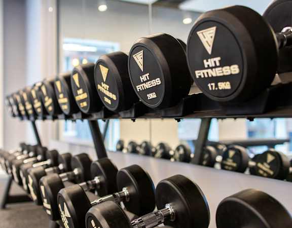 a rack of dumbbells in the gym