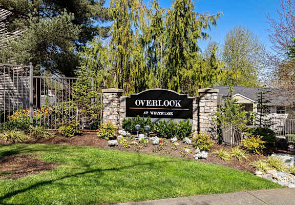 our apartments showcase a beautiful yard